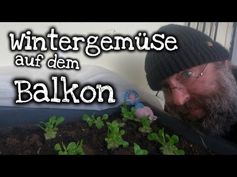Urban Gardening im Winter - Erfahrungen mit dem Anbau von Gemüse im Winter auf dem Balkon