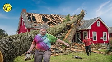 Idioten met kettingzagen: mislukte boomkap en dakschade | kettingzaag #11