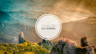 Twinki - Fuzzy Memories