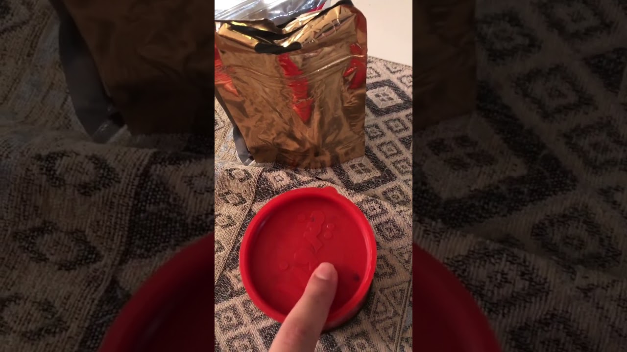 How to feed baby cichlids.sub for more.#aquarium #shorts #cichlid #feed #fish