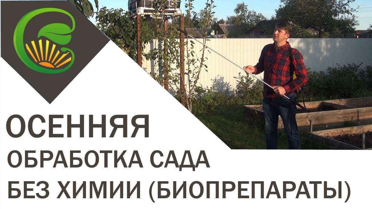Осенняя обработка сада без химии (биопрепараты) - YouTube