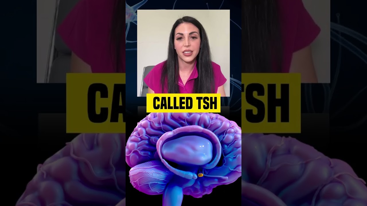 Hashimotos And Thyroid Hormone👩🏻‍⚕️ 