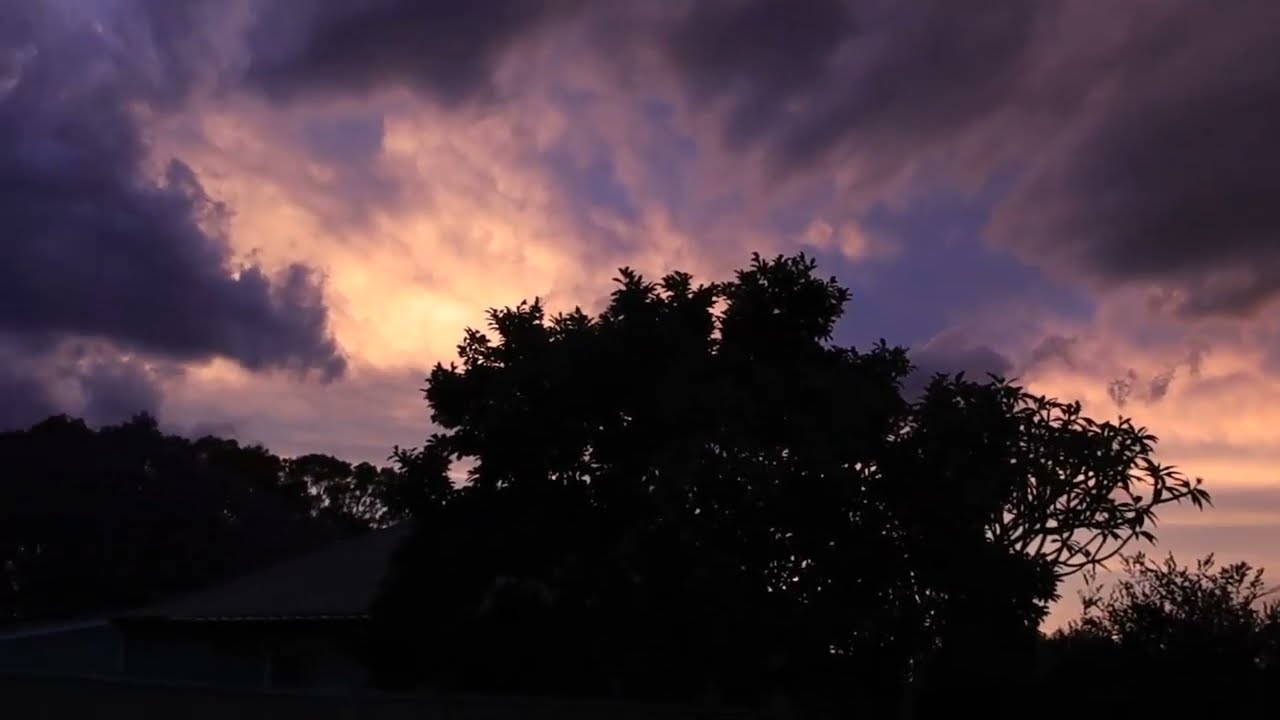 Cardiff NSW Sunset Magic | Breathtaking Evening Sky Timelapse | Peaceful Australian Nature Scenes