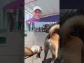 बंदर की जान ले ली कुत्ते की गैस 😀😀  #shortvideos #trending #viral #reel #video