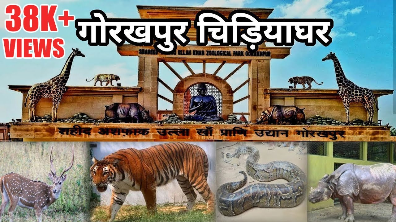 Gorakhpur Zoo | Gorakhpur Chidiya Ghar | गोरखपुर चिड़ियाघर | Gorakhpur Zoo Full Video