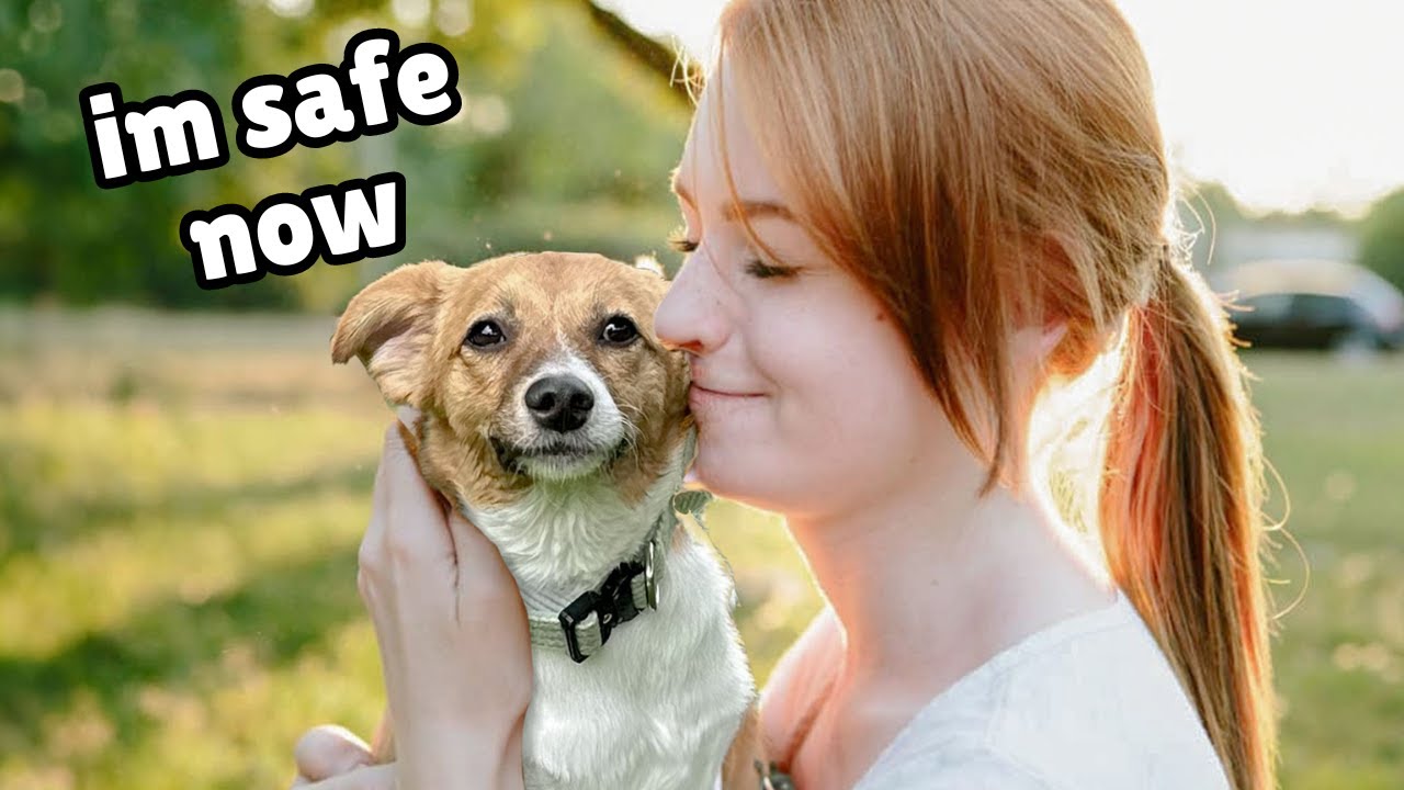 We Found this Rescue Puppy a New Home - YouTube