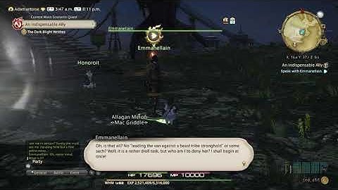 An Indispensable Ally - Final Fantasy XIV