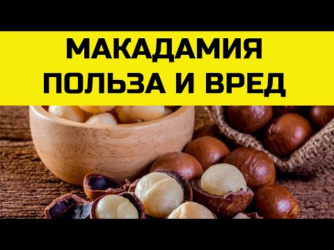 Орех МАКАДАМИЯ. Польза и вред австралийского ореха для организма.