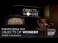 view Narrated Virtual Tour: Objects of Wonder Exhibit – Introduction digital asset number 1