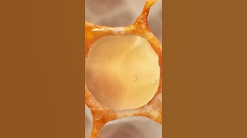 Zooming Into Honey