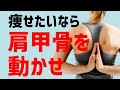 【肩甲骨はがし】背中の張りを解消！背中の脂肪もダイエット