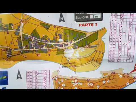 Sprint Last-o corto orientación vocacional test