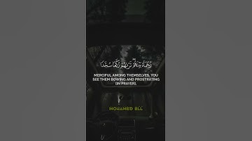 مُّحَمَّدٌ رَّسُولُ اللَّهِ /ما تيسر من سورة #الفتح - آية 29 🎧🎧