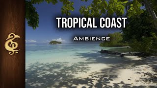 Tropical Coast | Birds, Cicadas, Waves, Calming ASMR Ambience | 3 Hours