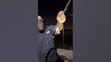 Baiting up and casting out! #fishing #fishingvideos #outdoors #casting