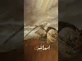 Ishq-e-Ali ka Khoobsurat Izhaar: Jan Ali, Rooh Ali