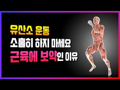 유산소 운동이 벌크업과 근성장에 필수인 5가지 이유 