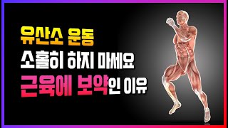 유산소 운동이 벌크업과 근성장에 필수인 5가지 이유