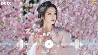 Chàng Là Tình Duyên Đẹp Nhất Đời Ta Remix - LK Nhạc Hoa Lời Việt Remix 2025 - Nhạc Trẻ Remix Hay