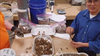 12, PL or Roll toughness test, TCM 326, USMA Soil App, Anderson Engineering, YouTube