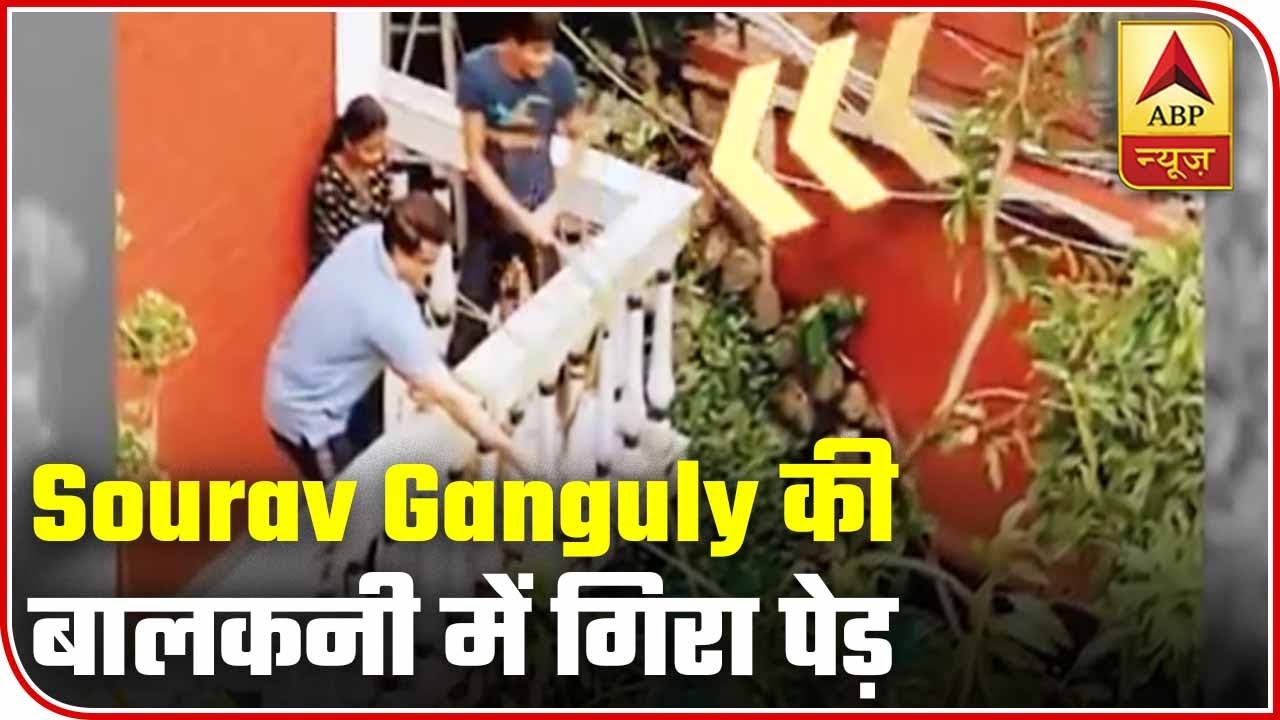 Amphan Cyclone: Tree Breaks Down And Falls On Sourav Ganguly`s Residence | ABP News