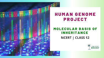 Human Genome Project | Molecular Basis of Inheritance | One Stop Biology | NCERT | Class 12 | Chap 6