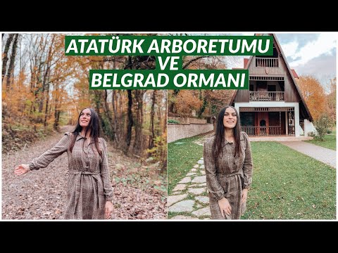 ATATÜRK ARBORETUMU VE BELGRAD ORMANI | 1 Günlük Doğaya Kaçış Rotası 🌳