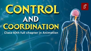 Control and Coordination Class 10 Full Chapter (Animation) | Class 10 Science Chapter 7 | CBSE