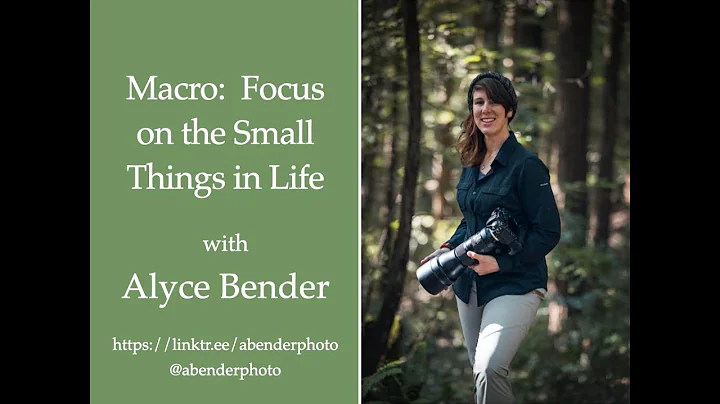 Session 19 - Macro Photography:  Focus on the Smal...