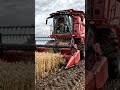 Slow Motion CR Combine Harvesting Wheat in Deep Mud | Big Harvest Farming