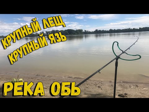 Рыбалка с ночевкой. Крупный Лещ и Язь на донки и фидер. Река Обь.