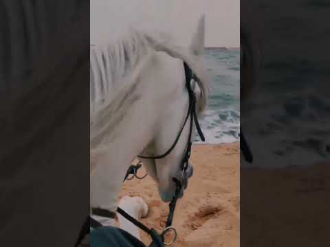 لا تغرق في ماضيك هناك حياة تنتظرك وأشياء جملية يجب أن تفعلها وفرح كبير قادر على محو كل حزن مررت به