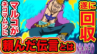 ワンピース986 Youtube