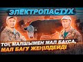 Электропастух | Тоқ бақташымен мал бағу | Тоқ малшы .