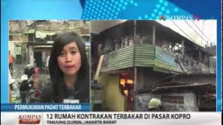 Jago Merah Lahap Habis Rumah Warga Tanjung Duren