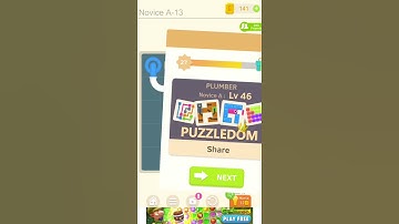 PuzzleDom Plumber Novice A-13