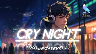 Cry night #hindi #slowedandreverb #befawa #alone #brokenheart #sadsong #🥺😢💔🥺😢💔🥺😢💔💔💔😭