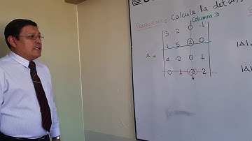 DETERMINANTE 4X4 - CESAR TOYKIN