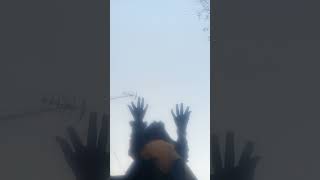 Download Lagu 8 Mei 2024 MP3