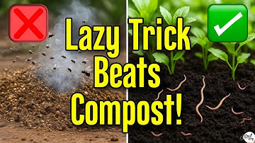 Why I’ll Never Make Compost Again This Lazy Trick Works Better