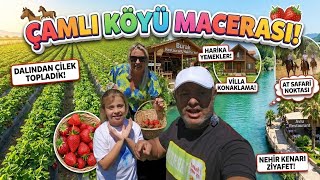 Marmaris'e Geldiyseniz Çamlı Köyü'ne Uğramadan Dönmeyin!
