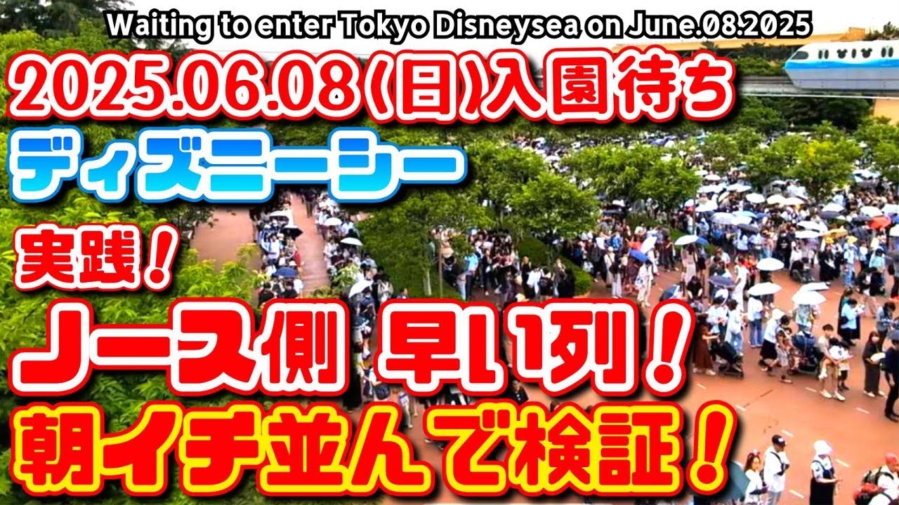 2025.06.08（日）　【実践❗】ディズニーシー入園待ち　〇分で入園出来た❗ノース側早く入れる列❗朝イチ並んで検証❗　【夢の国の住人】開園待ち