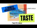 2-Minute Neuroscience: Taste