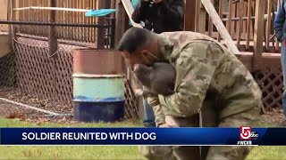 Woof! Air Force sergeant reunites with dog after deployment