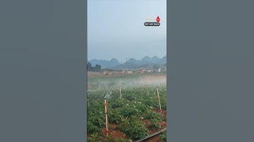 Béc phun mưa cách bướm xoay 360 độ tầm phun 6m GIÁ RẺ#becphunmua