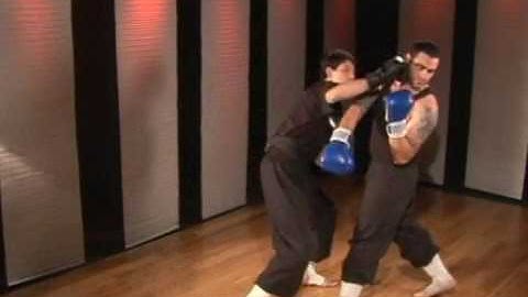 Kung Fu Blocking Techniques: Inside Forearm Block & Counter Punch