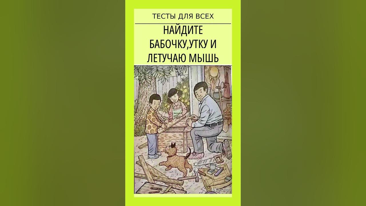 Найдите уточку бабочку и летучую мышь. Японский тест бабочки бабочку утку. японский тест на деменцию картинка бабочка летучая мышь утка.