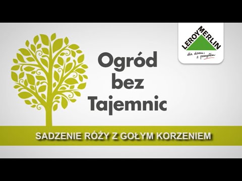 Wideo: Jak Sadzić Ogród: Dlaczego Teraz Jest Idealny Czas