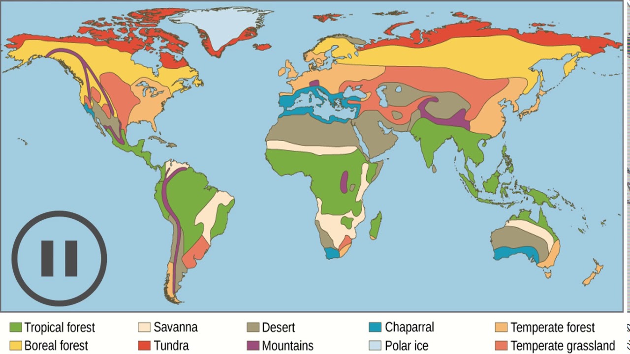 L2: Biomes