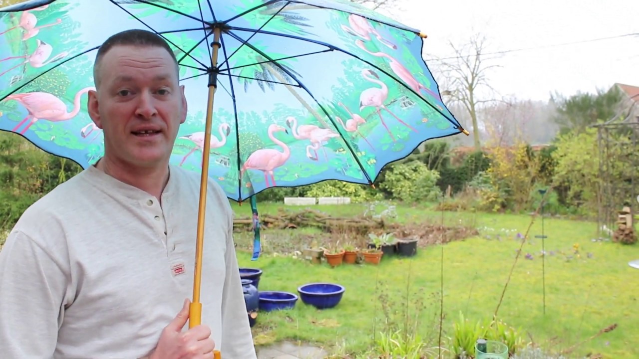 Waarom regent het zoveel en stopt